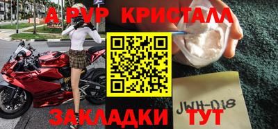стаф Бердск