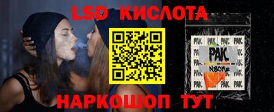 стаф Бердск