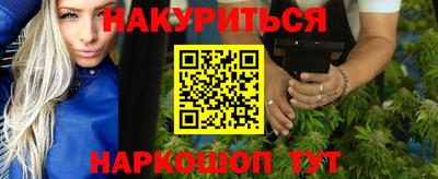 стаф Бердск