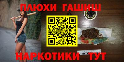 стаф Бердск