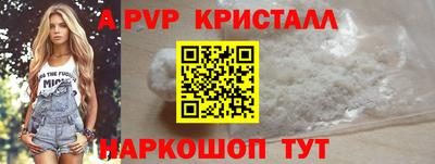 стаф Бердск