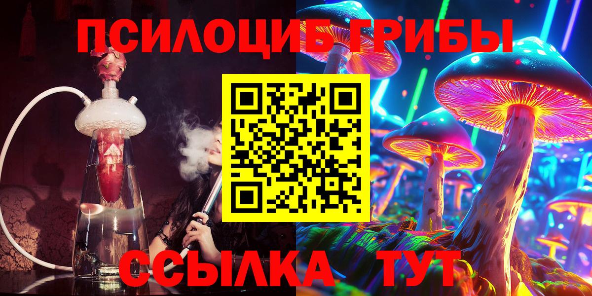 Псилоцибиновые грибы Psilocybe  Вход с VPN  Псилоцибиновые грибы GOLDEN TEACHER  Асбест 
