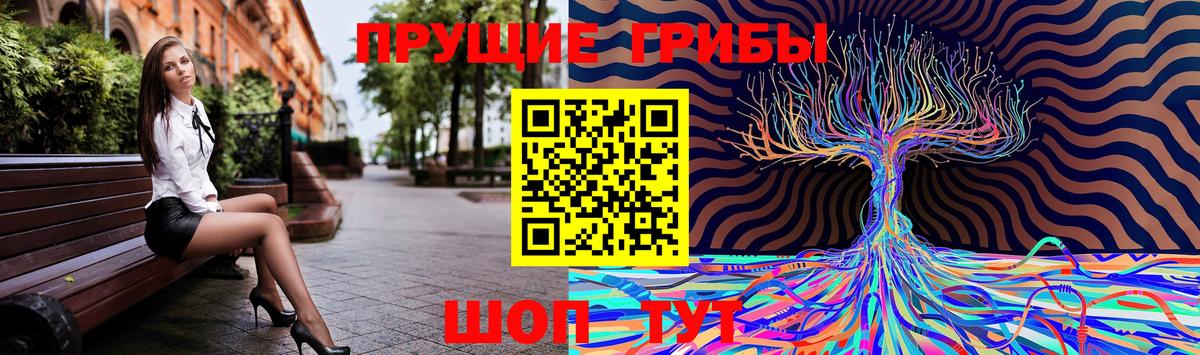 Галлюциногенные грибы мухоморы Асбест